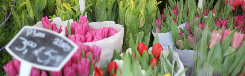 Commune de Ham-sur-Heure-Nalinnes | Marché aux fleurs du groupement philanthropique "Les DJAMAS"