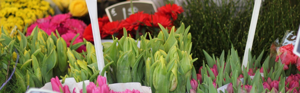 Commune de Ham-sur-Heure-Nalinnes | Marché aux fleurs à l’école communale de Ham-sur-Heure (Primaires)