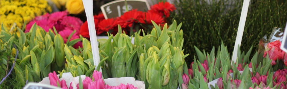 Commune de Ham-sur-Heure-Nalinnes | Marché aux fleurs à l’école communale de Beignée
