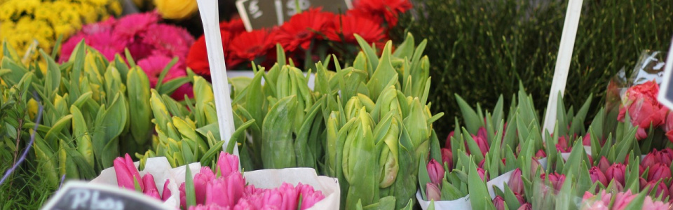 Commune de Ham-sur-Heure-Nalinnes | Fête du Printemps à l'école communale de Nalinnes-Haies