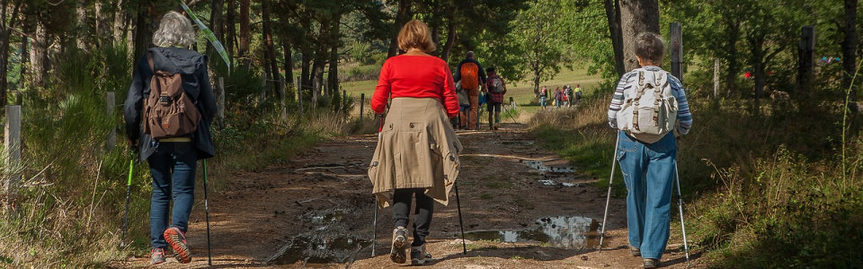Commune de Ham-sur-Heure-Nalinnes | Marche ADEPS de la bilbiothèque de Nalinnes-Haies