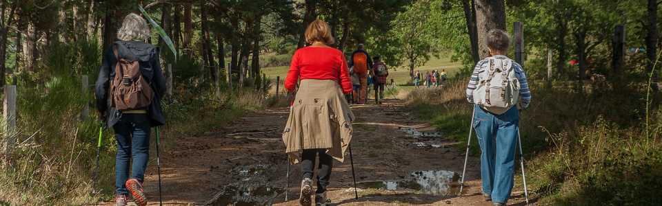 Commune de Ham-sur-Heure-Nalinnes | Marche ADEPS de la JS Jamioulx