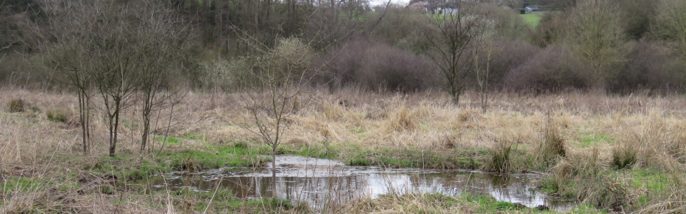 Commune de Ham-sur-Heure-Nalinnes | Gestion de l'ancienne carrière de Jamioulx