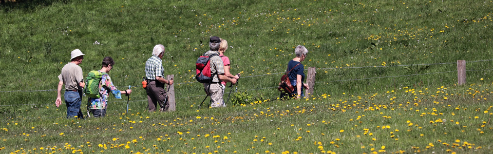 Commune de Ham-sur-Heure-Nalinnes | Balade dans les bois de Jamioulx