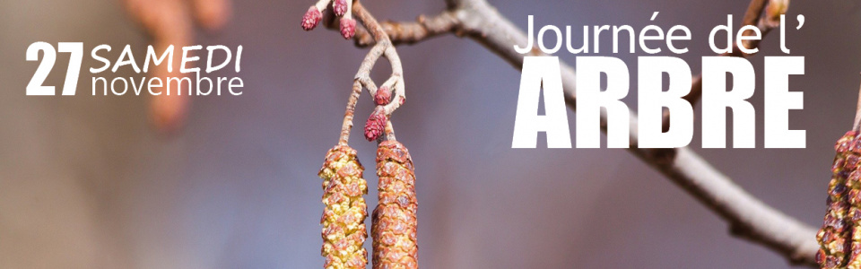 Commune de Ham-sur-Heure-Nalinnes | Journée de l'Arbre